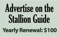 Advertise on the Stallion Guide