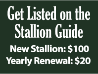 Get your Stallion Listed on the Stallion Guide