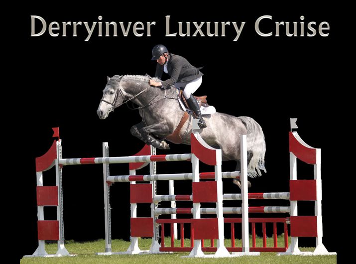 Derryinver Luxury Cruise, Grand Prix Showjumping Stallion
